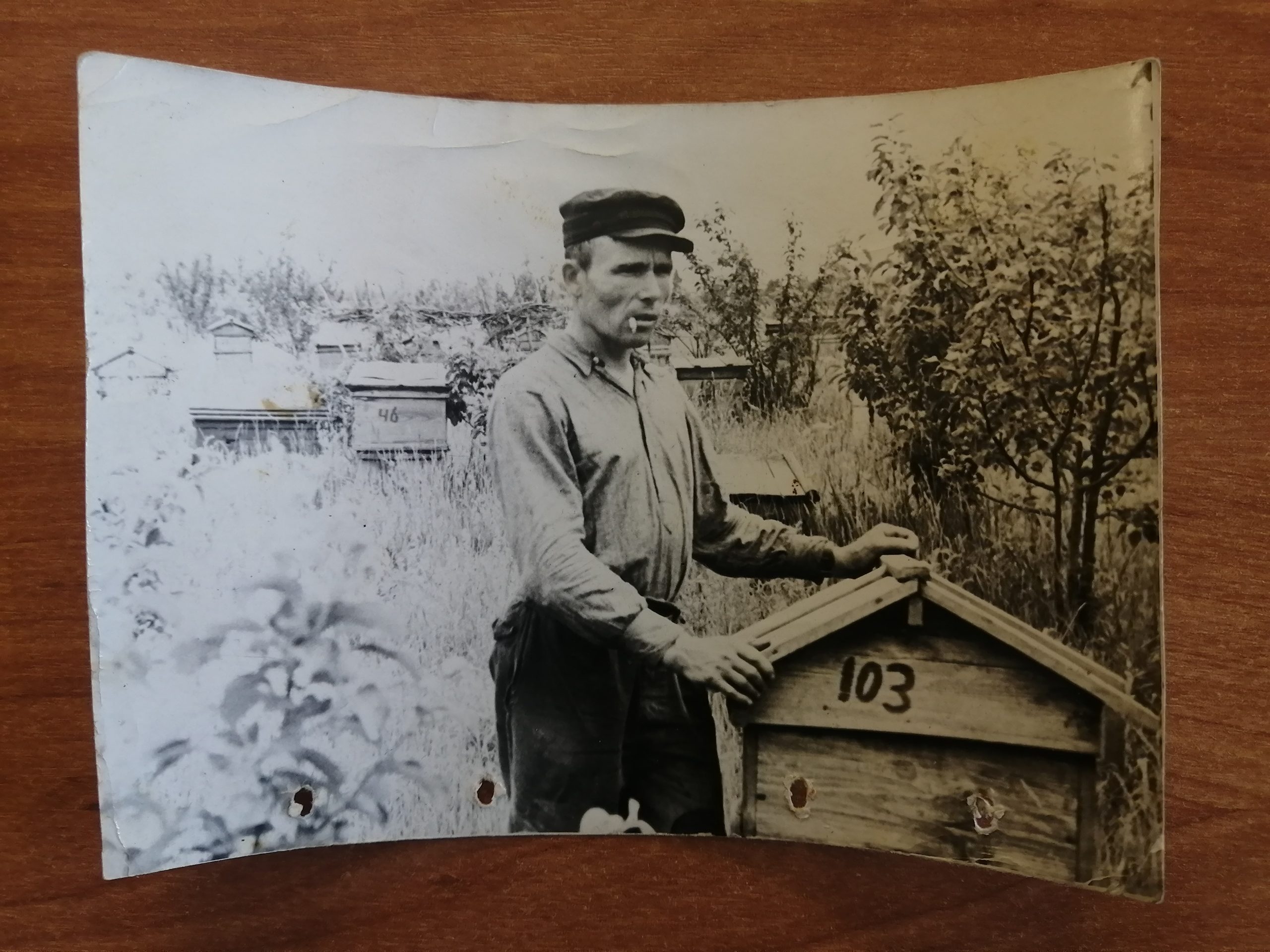 СВЯЩЕННОЙ ПАМЯТИ РОДНИК: очерки об истории Каменского района (Толстовский  сельсовет) | 09.12.2022 | Камень-на-Оби - БезФормата