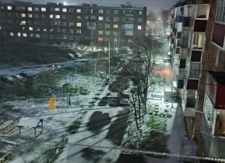 Синоптики прогнозируют первый снег в Алтайском крае в октябре