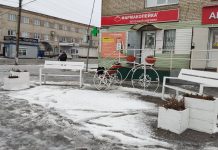 Дожди и снег ворвутся в Алтайский край на ноябрьских выходных