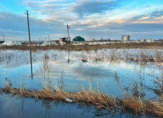 Потепление до +14 градусов надвигается на Алтайский край