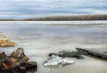 В Камне-на-Оби перестала ходить аэролодка и ожидается вскрытие реки