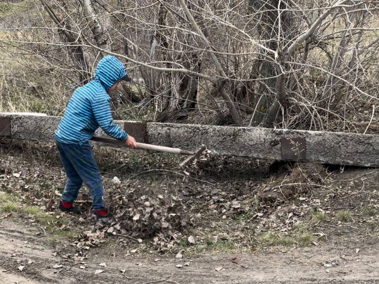 Жители Камня-на-Оби навели порядок на озере Рица (фоторепортаж) |  01.05.2024 | Камень-на-Оби - БезФормата