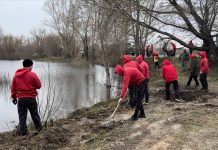 В Камне-на-Оби объявлен месячник по благоустройству и озеленению города