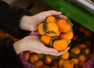 Выбор качественных мандаринов