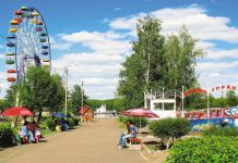 В городском парке культуры Камня-на-Оби введена процедура предбанкротного наблюдения