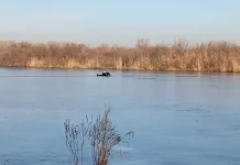 Четыре человека утонули за минувшую неделю в Алтайском крае