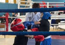 В Камне-на-Оби подвели итоги межрегионального турнира по кикбоксингу «Юный боец». Вести-Алтай