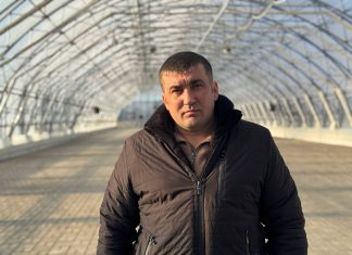 Зачем Каменский ЛДК открыл «детский сад» для сосен? Видео Вести-Алтай