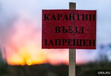 Сразу два новых очага бешенства выявили в Алтайском крае.