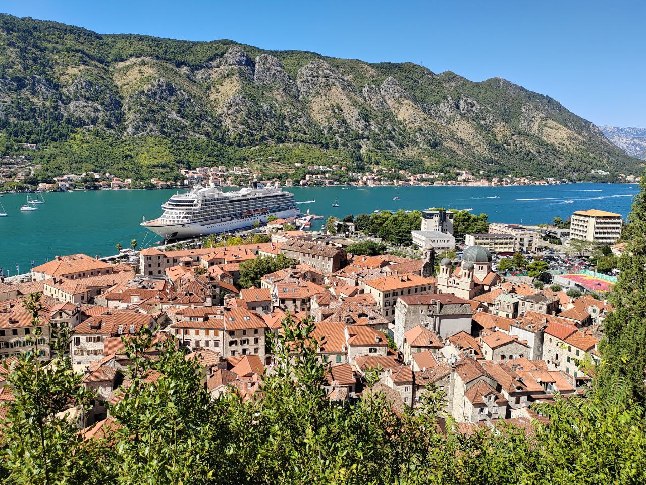 IMG_20251213_124034_518