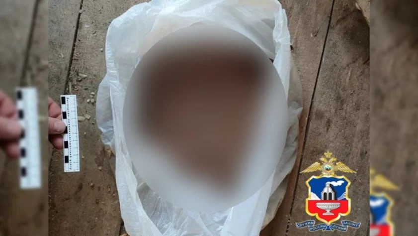 IMG_20260130_132410_129