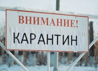 В Алтайском крае выявили уже 20-й случай бешенства за 2026 год