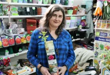 Готовимся к сезону посадок с каменским предпринимателем и садовых дел мастером Ларисой Бычковой