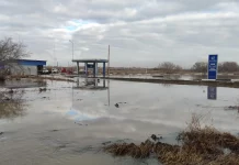 Девять трасс полностью перекрыты в Алтайском крае: список