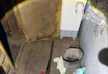 Житель Алтайского края из охотничьего ружья застрелил тещу и ранил жену