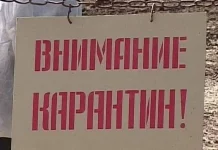 Бешенство в Камне-на-Оби: еще один очаг опасного заболевания нашли в Алтайском крае