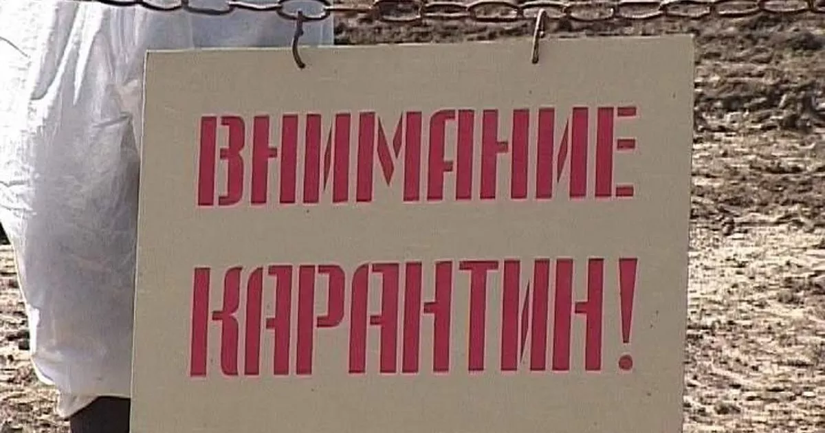9c3c7b16d2c5ba684a14ce6d46ce2a8f