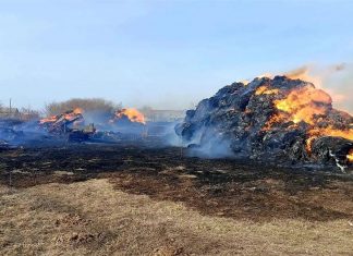 В Алтайском крае женщина устроила пожар, погубивший скот и сено у фермера