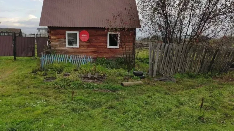 медведь