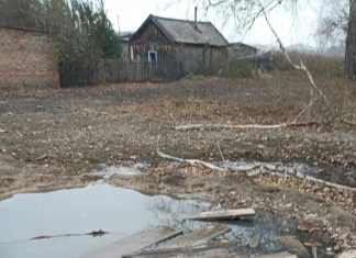 В Корнилово вода из колодца образовала озеро: жители опасаются за дома перед зимой. Видео
