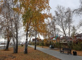 В Алтайском крае потеплеет до +9 градусов