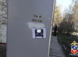 Житель Бийска получил 13 лет строгого режима за рекламу наркомаркета